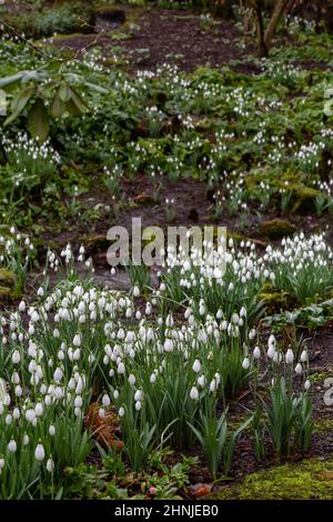 Chutes de neige dans le Yorkshire, Angleterre. Banque D'Images