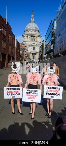 Millennium Bridge, Londres, Royaume-Uni. 17 février 2022. Pour protester contre l'utilisation des plumes à la London Fashion week, un troupeau de partisans du PETA font du Millennium Bridge leur passerelle le jeudi 17th février. Avec des masques pour oiseaux et des coffres « sanglants et pluchés » exposés, ils mettent en lumière le sort des oiseaux dont les plumes sont arrachées pour les vêtements et accessoires de mode. « Le plumage appartient aux oiseaux doux, et les humains n’ont pas le droit du déchirer par la poignée », explique Elisa Allen, directrice du PETA. « PETA exhorte tout le monde à faire une déclaration de mode de la manière la plus gentille, avec de fabuleux textiles végétaliens. » Crédit: Malcolm Park/A Banque D'Images