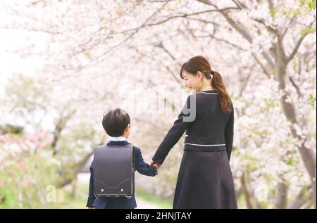 École primaire japonaise Boy et sa mère marchant sous les cerisiers en fleurs Banque D'Images