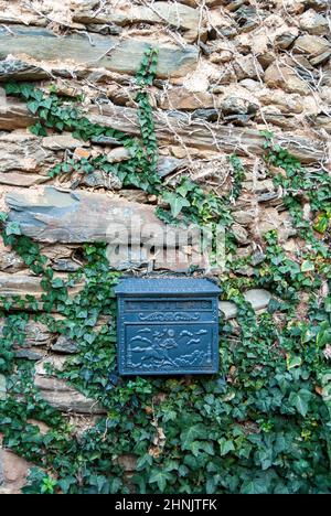 Ancienne boîte noire sur le mur en pierre d'ardoise avec plante grimpante extra-lente et espace pour copier la pâte à la verticale Banque D'Images