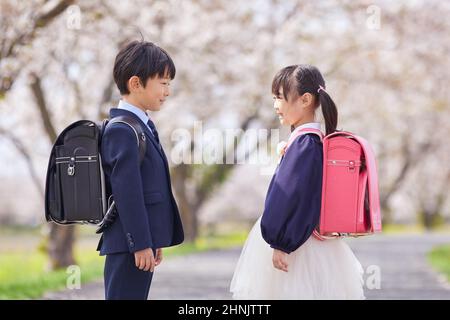 Les élèves de l'école primaire japonaise se font face sous les cerisiers en fleurs Banque D'Images