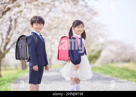 Élèves de l'école primaire japonaise avec sous les cerisiers en fleurs Banque D'Images