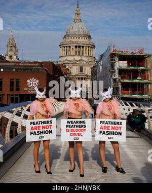 Londres, Royaume-Uni. 17th févr. 2022. PETA proteste contre l'utilisation des plumes dans l'industrie de la mode. Pour protester contre l'utilisation des plumes à la London Fashion week, un troupeau de partisans du PETA transforment le Millennium Bridge en passerelle. Avec des commodes, ils mettent en évidence le sort des oiseaux dont les plumes sont arrachées pour les vêtements de mode et les accessoires. Manifestation PETA à l'utilisation des plumes à la mode crédit: Mark Thomas/Alay Live News Banque D'Images