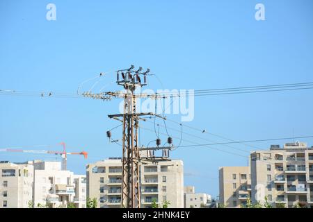 Vue rapprochée à angle bas de la partie supérieure d'un pylône de distribution d'électricité et de lignes électriques sous ciel bleu Banque D'Images