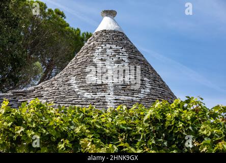 Vignes sur le toit en pierre de la maison Trulli à Alberobello, Italie. Banque D'Images
