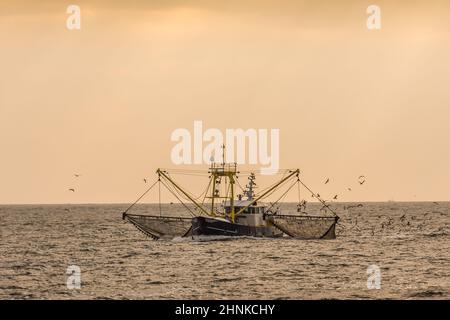 Chalutier avec pêche à la dragnette dans la mer des Wadden, Buesum, Mer du Nord, Schleswig-Holstein, Allemagne Banque D'Images