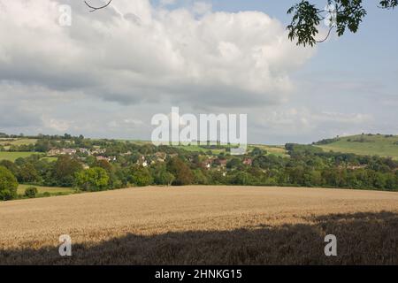 Campagne à Findon sur les South Downs près de Worthing, West Sussex, Angleterre. Avec champ d'orge mûr, village et fort antique de colline de Cissbury Ring. Banque D'Images