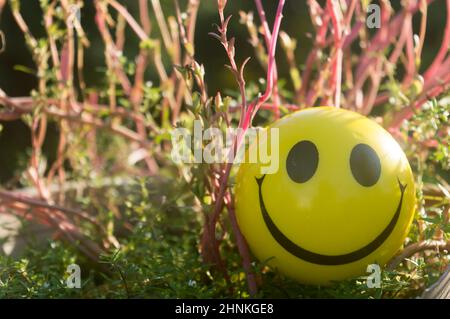 Gros plan Emoji signe Smiley face d'une Squeeze ball bouche représentant un symbole de bonheur, placé sur les plantes et la nature fond. Vue avant. Heureux s Banque D'Images