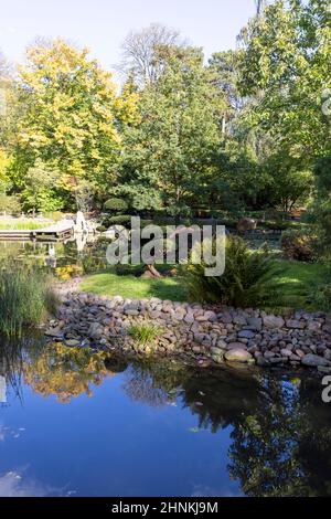 Jardin japonais, plantes exotiques, Wroclaw, Pologne. Banque D'Images