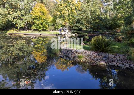 Jardin japonais, plantes exotiques, Wroclaw, Pologne. Banque D'Images