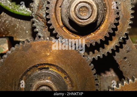 Engrenages de machine industrielle. Détail du mécanisme. Anciennes roues dentées de machine Banque D'Images