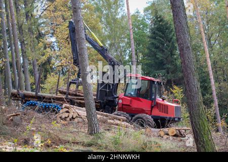 Ouvriers forestiers équipés de machines spéciales pour la récolte du bois. Les troncs de l'arborescence sont chargés. Banque D'Images