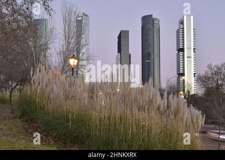 Cuatro Torres - quartier d'affaires de quatre tours, gratte-ciels modernes vus de Parque Norte, parc urbain de Madrid en Espagne. Banque D'Images