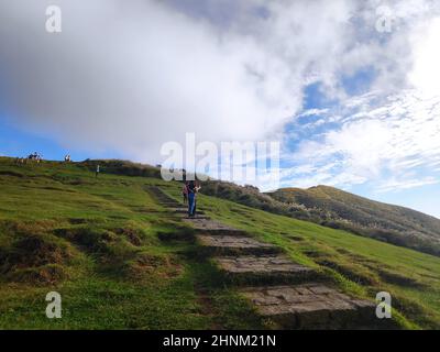 La source naturelle de graminées alpines se trouve à Shangshan, dans la ville de Taipei, à Taipei, à Taïwan Banque D'Images