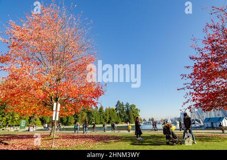 Parc Stanley coloré le long du sentier côtier à l'automne, Vancouver, Canada Banque D'Images
