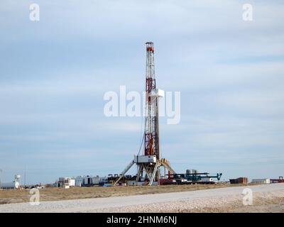 Forage dans la steppe. Banque D'Images