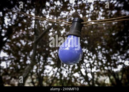 Détail de l'ampoule électrique peinte colorée, de l'éclairage et de la décoration Banque D'Images