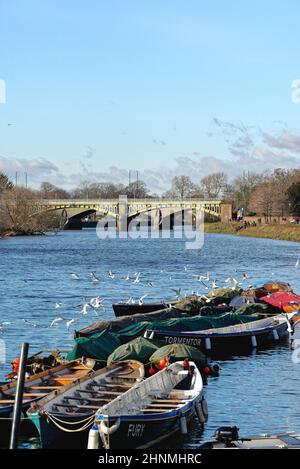 La Tamise et le bord de la rivière à Richmond en regardant vers le pont ferroviaire et le pont de la route Twickenham lors d'une journée hivernale ensoleillée, à l'ouest de Londres, en Angleterre Banque D'Images