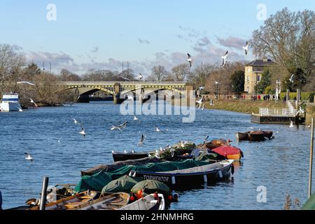 La Tamise et le bord de la rivière à Richmond en regardant vers le pont ferroviaire et le pont de la route Twickenham lors d'une journée hivernale ensoleillée, à l'ouest de Londres, en Angleterre Banque D'Images