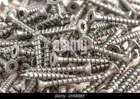 Gros plan des vis argentées universelles avec tête Torx. Vis autotaraudeuses pour bois, contreplaqué ou aggloméré. Les vis Torx se ferment. Banque D'Images
