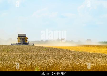 Moissonneuses-batteuses. Les machines agricoles. Banque D'Images