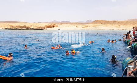 Egypte, Charm El Sheikh - 20 septembre 2019: Un groupe de touristes qui font de la plongée avec masque et tuba regardent le magnifique et coloré poisson de mer et récif de corail dans la mer Rouge près du navire. Banque D'Images