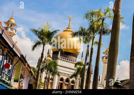 Mosquée Masjid Sultan derrière les palmiers, Arab Street, Singapour. Banque D'Images