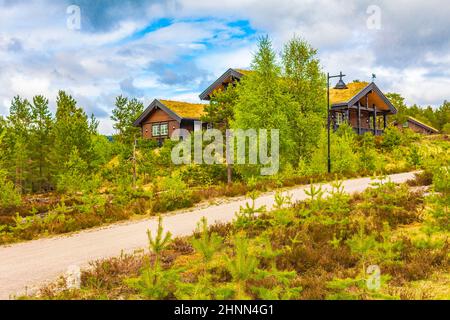 Chalets norvégiens en bois chalets dans la nature et le paysage de montagne de Treungen à Nissedal Norvège. Banque D'Images