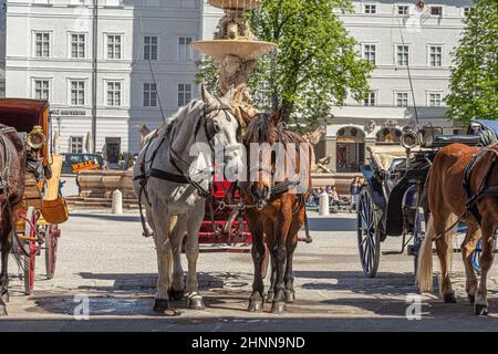 Les bus à cheval sont prêts pour les promenades touristiques dans la vieille ville de Salzbourg en Autriche. Banque D'Images