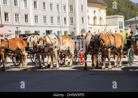 Les bus à cheval sont prêts pour les promenades touristiques dans la vieille ville de Salzbourg en Autriche. Banque D'Images