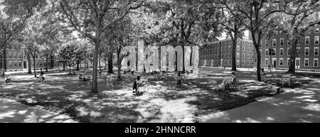 Les étudiants et les touristes se reposent dans des chaises de jardin à Harvard Yard, le vieux coeur ouvert du campus de l'université de Harvard Banque D'Images