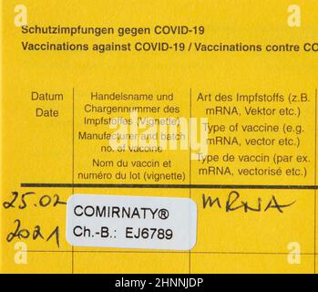 livre de vaccination allemand avec vaccination documentée par comirnagie Banque D'Images