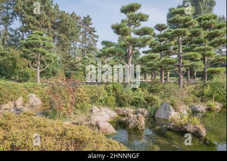 Il y a un bijou dans le Nordpark de Düsseldorf : le jardin japonais. Banque D'Images
