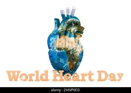 Concept de la journée mondiale du cœur. Coeur humain avec texture Earth Globe, rendu 3D isolé sur fond blanc Banque D'Images