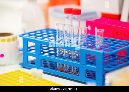 Tubes en verre placés dans un support bleu dans un laboratoire chimique. Ampoules transparentes sur la table dans le lieu de travail de la pharmacie. Flacon vide dans la recherche en biotechnologie. Banque D'Images