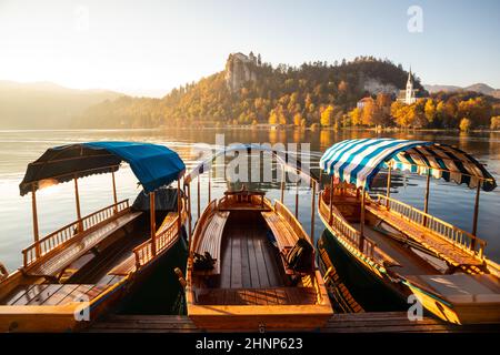 Bateaux traditionnels en bois sur le lac de Bled, en Slovénie. Banque D'Images