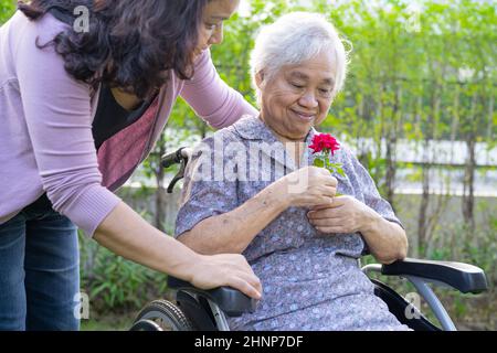 La fille du soignant se câlin et aide la vieille femme asiatique âgée ou âgée qui tient une rose rouge sur un fauteuil roulant dans le parc. Banque D'Images