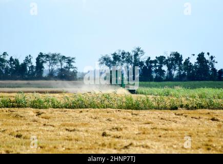 Moissonneuses-batteuses. Les machines agricoles. Banque D'Images