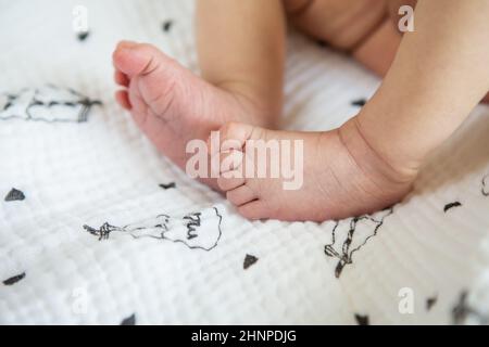 Petits pieds d'un nouveau-né. Le concept de la maternité, l'allaitement. Banque D'Images