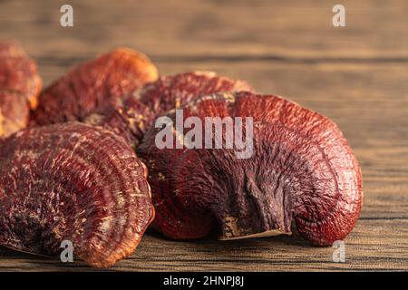 Champignon lingzhi séché isolé sur fond blanc avec chemin de coupure. Banque D'Images