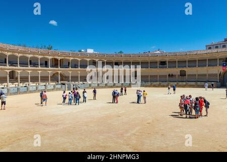 Visiteurs de la Plaza de Toros ou Bullring. Le arène de Ronda est la plus ancienne arène de Ronda Banque D'Images