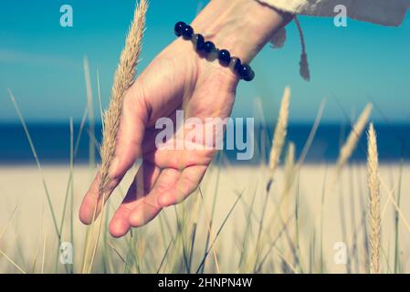 La main de la femme glisse à travers l'herbe de dune dans le jour ensoleillé sur la côte de mer. Concentrez-vous sur le doigt de pointage. Banque D'Images