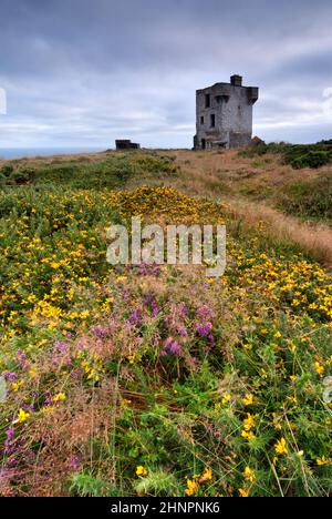 Ruines du château vieux sur les falaises à Crookhaven, comté de Cork, Irlande Banque D'Images