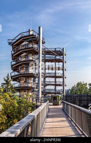 célèbre sentier de la cime à saar loop Banque D'Images