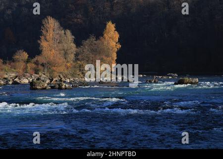 Scène d'automne au bord du Rhin à Schaffhouse Banque D'Images