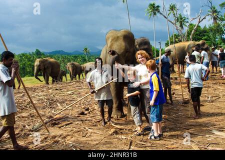 les enfants s'embrassent avec des éléphants dans le camp de la jungle Banque D'Images