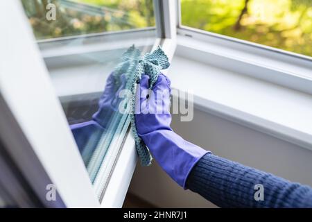 Concept de nettoyage et de nettoyage.Une jeune fille en gants violets essuie la poussière sur le rebord de la fenêtre et la fenêtre avec un chiffon Banque D'Images