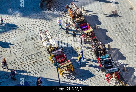 Stephansplatz bondé à Vienne, en Autriche avec des boulangers Banque D'Images