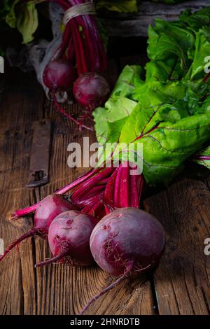 Botwina, jeune Beetroot rustique Banque D'Images