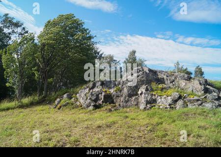 Vent fort dans le paysage de la nature. Vent courbe arbre. Paysage ensoleillé avec ciel bleu en jour venteux. Pierres et plantes Banque D'Images